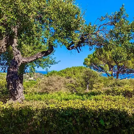 Les Restanques 3 3020 アパート