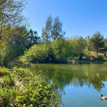 Les Restanques 3 3020 Apartment Grimaud