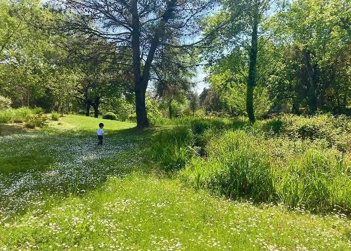 Apartman Les Restanques 3 3020 Grimaud